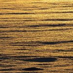 Australiano De Lingotes De Oro | Australia Lingotes De Oro ̶ Lingotes De Oro Comprar 3vlSCR