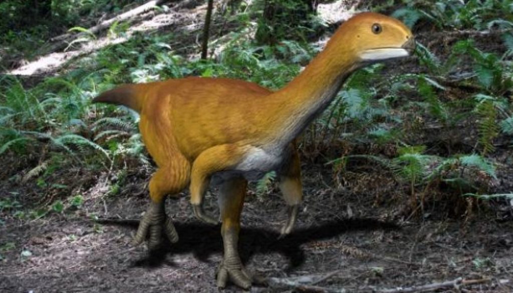 chilesaurus-dinosaur