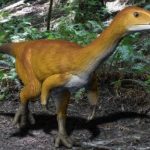 chilesaurus dinosaur