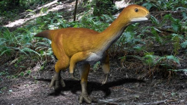 chilesaurus dinosaur