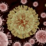 Virus de Zika Podría ser Usado Contra Cáncer de Cerebro Zika Virus Disease 7673985