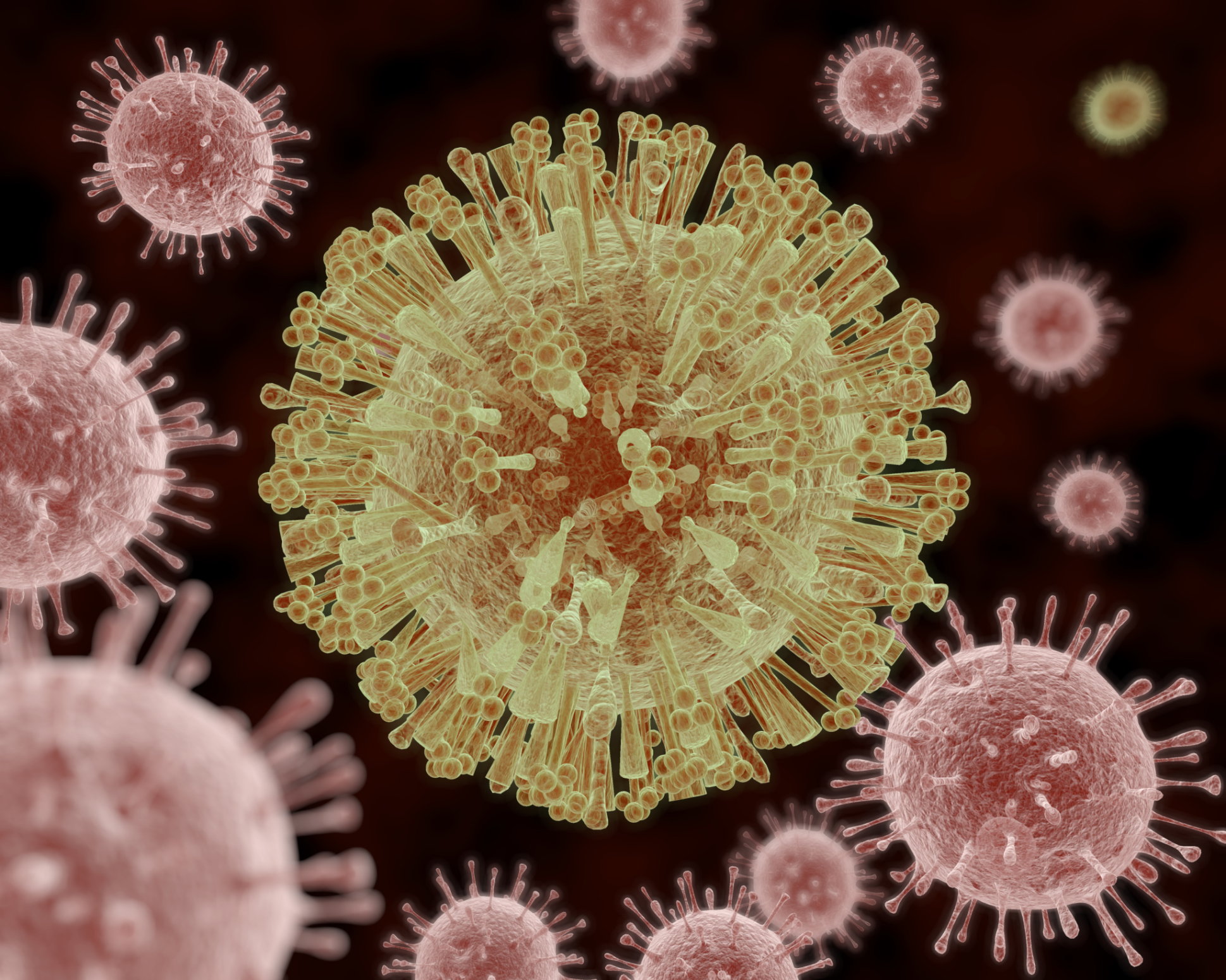Zika Virus Disease 7673985