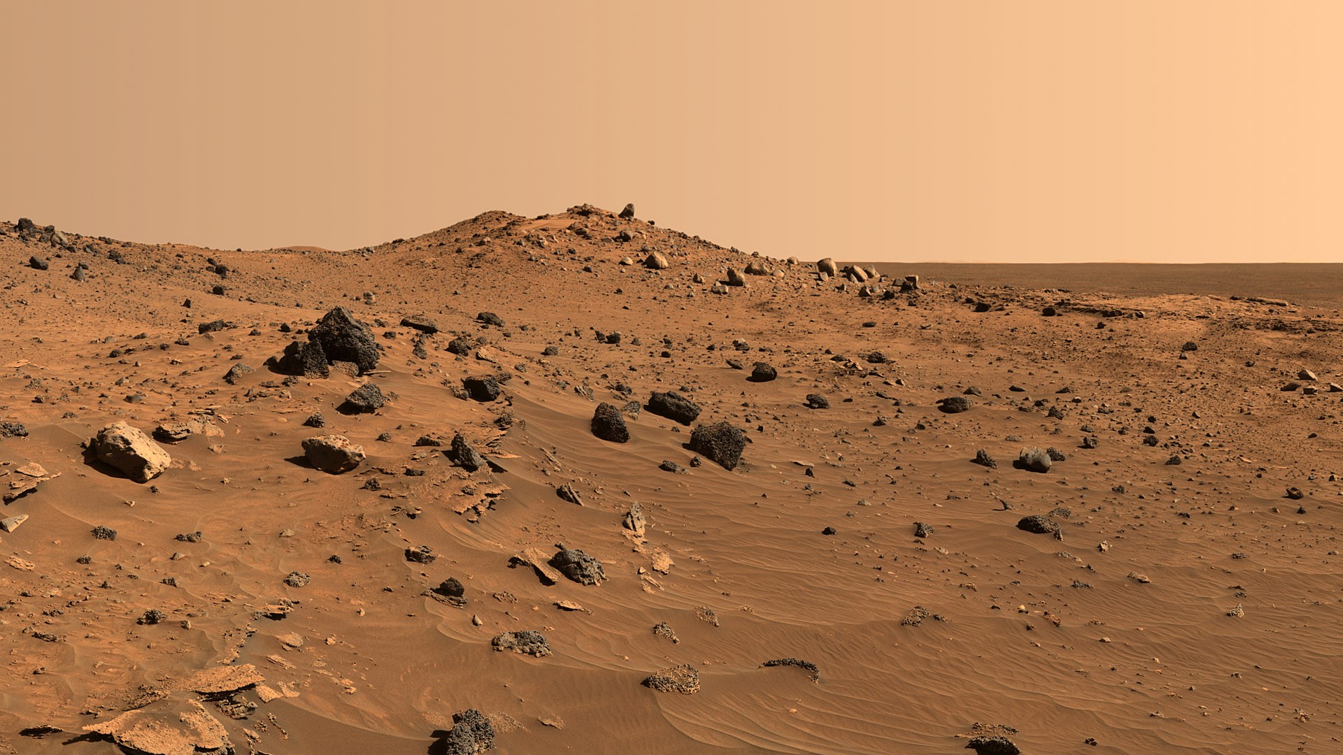 wpid mars surface