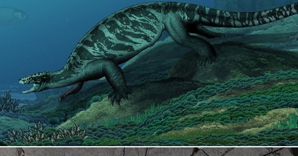 Eorhynchochelys sinensis novataxa 2018 Li Fraser Rieppel et Wu