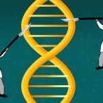 yalenews editing genomes msh