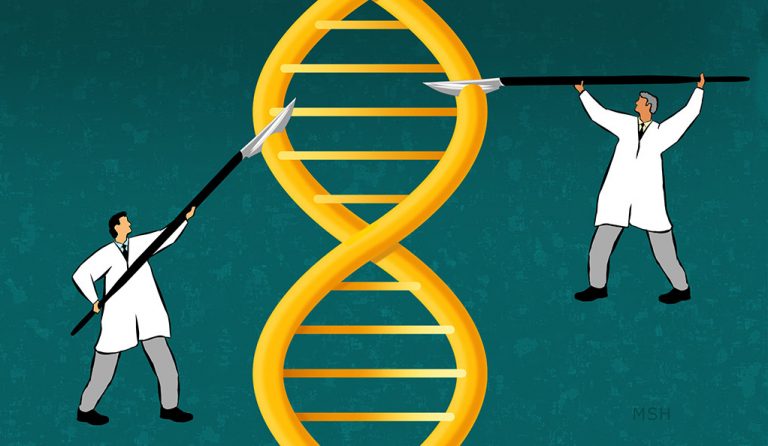 Los mosquitos podrían eliminarse mediante la edición de genes