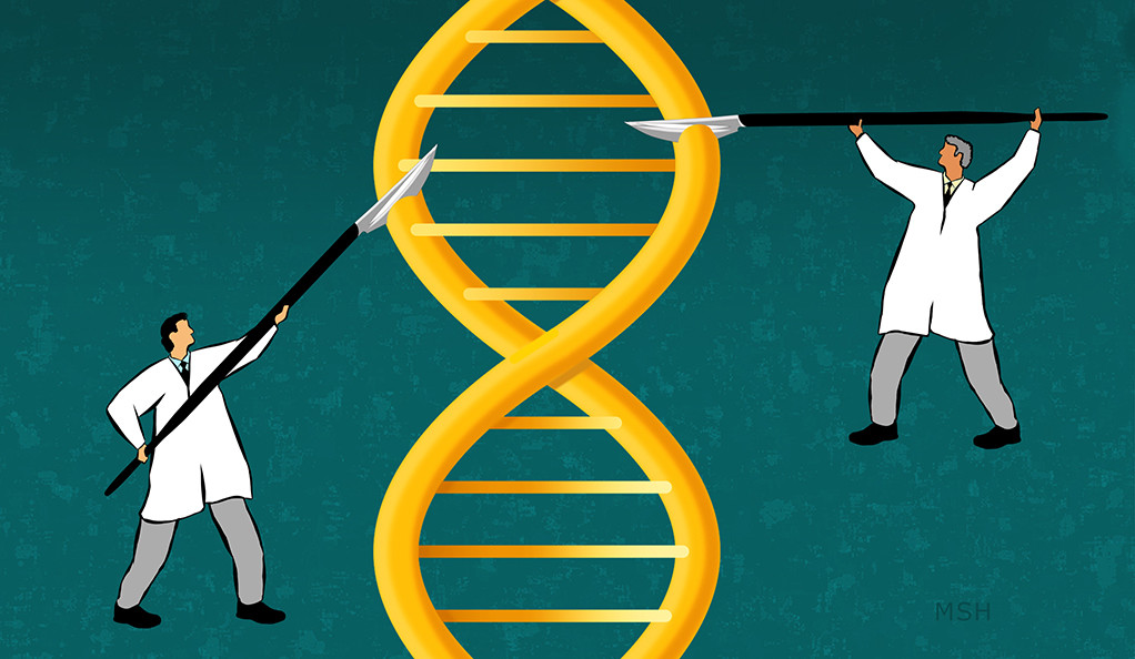 yalenews editing genomes msh