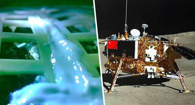 China crece las primeras plantas en la Luna