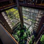 La Fundación Ford anuncia la apertura de una galería de arte y justicia social